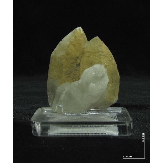 کوارتز کلکسیونی کد 10890