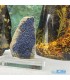 آزوریت بلور دکوری کلکسیونی تکه ایی از بهشت Azurite