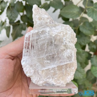 سنگ سلنیت کلکسیونی راف دکوری Selenite