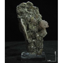 رز کوارتز دکوری