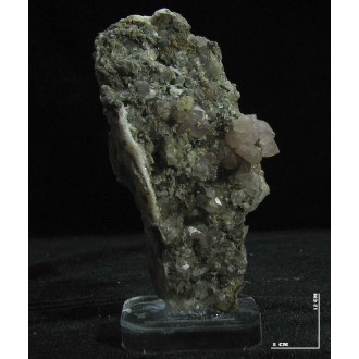 رز کوارتز دکوری