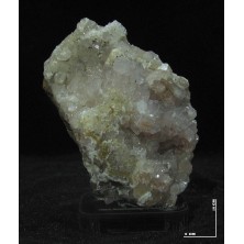 رز کوارتز دکوری کد 11202