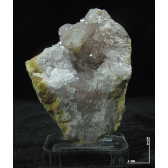 رز کوارتز دکوری کد 11204