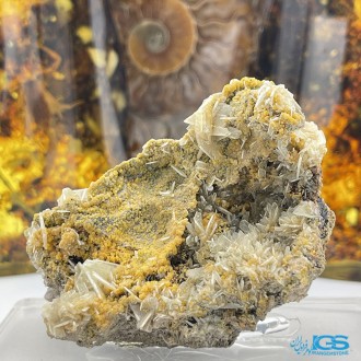 سنگ ولفونیت نارنجی کمیاب ترین سنگ کلکسیونی Wulfenite
