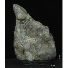 رز کوارتز دکوری کد 11233