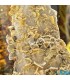 سنگ ولفونیت نارنجی کمیاب ترین سنگ کلکسیونی Wulfenite