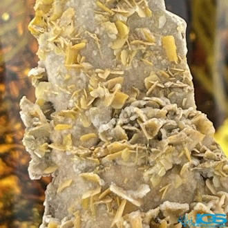 سنگ ولفونیت نارنجی کمیاب ترین سنگ کلکسیونی Wulfenite