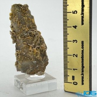 سنگ ولفونیت نارنجی کمیاب ترین سنگ کلکسیونی Wulfenite