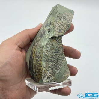 سنگ کلکسیونی دندریت Dendrite فسیل شجر دار