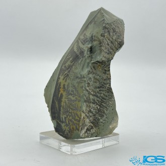 سنگ کلکسیونی دندریت Dendrite فسیل شجر دار