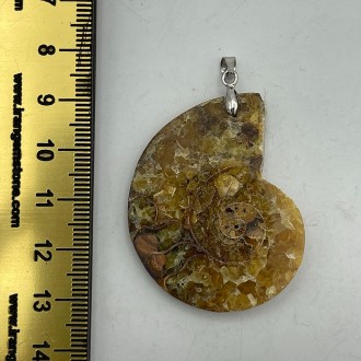 گردنبند فسیل آمونیت دفع انرژی منفی fossil ammonite