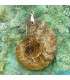 گردنبند فسیل آمونیت دفع انرژی منفی بدون بند fossil ammonite