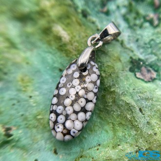 سنگ فسیل پوست مار نگین جواهری Snake fossil