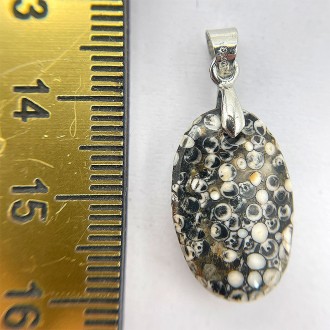 سنگ فسیل پوست مار نگین جواهری Snake fossil