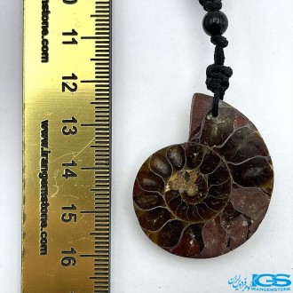 گردنبند فسیل آمونیت دفع انرژی منفی بدون بند fossil ammonite