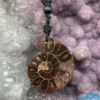 گردنبند فسیل آمونیت دفع انرژی منفی بدون بند fossil ammonite