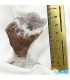 سنگ کوارتزدودی راف ایرانی دکوری کلکسیونی Smoky Quartz
