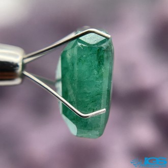 نگین سنگ زمرد هند EMERALD