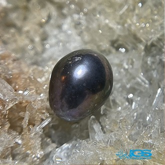 مروارید سیاه طبیعی preal black