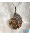 گردنبند آمونیت فسیل دفع انرژی منفی بدون زنجیر  fossil ammonite