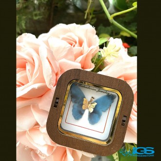 گردنبند طلا مدل پروانه پارچه ایی 130 سوت Butterfly gold necklace