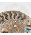 گردنبند سنگ کریستال کوارتز کوچک راف درنجف طبیعی با زنجیر