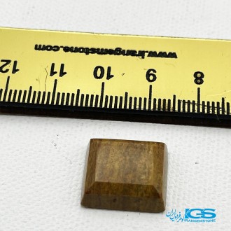 سنگ جاسپر نگین Jasper