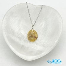 گردنبند آمونیت فسیل دفع انرژی منفی بدون زنجیر  fossil ammonite