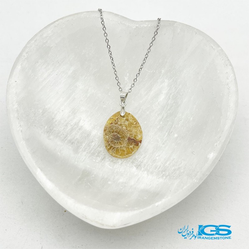 گردنبند آمونیت فسیل دفع انرژی منفی بدون زنجیر  fossil ammonite