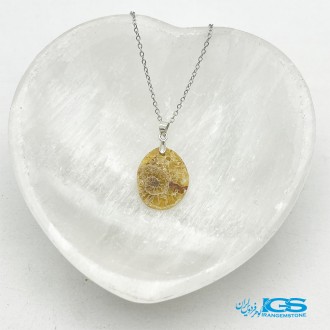 گردنبند آمونیت فسیل دفع انرژی منفی بدون زنجیر  fossil ammonite
