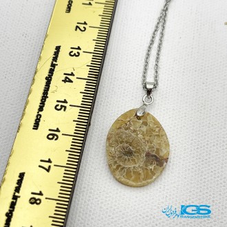 گردنبند آمونیت فسیل دفع انرژی منفی بدون زنجیر  fossil ammonite
