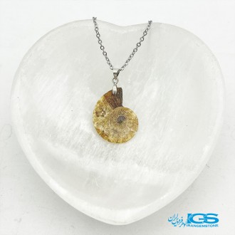گردنبند آمونیت فسیل دفع انرژی منفی بدون زنجیر fossil ammonite