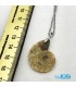 گردنبند آمونیت فسیل دفع انرژی منفی بدون زنجیر fossil ammonite