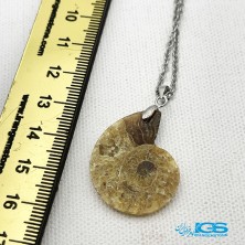 گردنبند آمونیت فسیل دفع انرژی منفی بدون زنجیر fossil ammonite