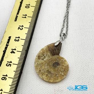 گردنبند آمونیت فسیل دفع انرژی منفی بدون زنجیر fossil ammonite