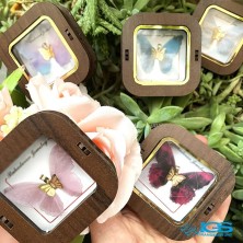 گردنبند طلا مدل پروانه پارچه ایی 130 سوت Butterfly gold necklace