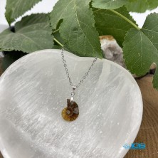 گردنبند آمونیت کوچیک فسیل دفع انرژی منفی بدون زنجیر fossil ammonite