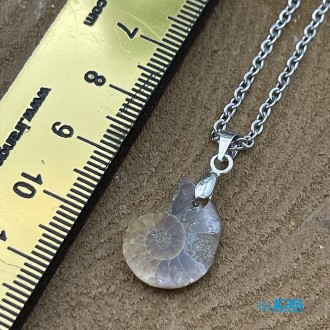 گردنبند آمونیت کوچیک فسیل دفع انرژی منفی بدون زنجیر fossil ammonite