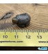 مجسمه سنگ کوارتزدودی لاک پشت کوچک Smoky Quartz