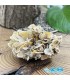 سنگ ولفونیت نارنجی کمیاب ترین سنگ کلکسیونی Wulfenite