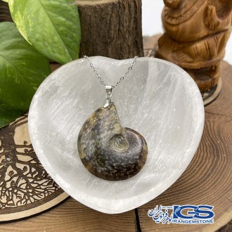 گردنبند آمونیت فسیل دفع انرژی منفی بدون زنجیر fossil ammonite