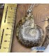 گردنبند آمونیت فسیل دفع انرژی منفی بدون زنجیر fossil ammonite