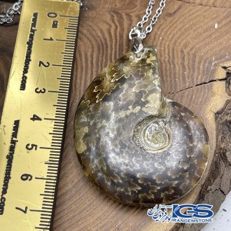 گردنبند آمونیت فسیل دفع انرژی منفی بدون زنجیر fossil ammonite