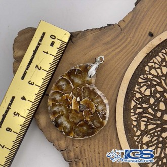 گردنبند آمونیت فسیل دفع انرژی منفی بدون زنجیر fossil ammonite