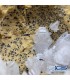 سنگ کریستال سروزیت  راف Cerussite پاکساز قوی انرژی