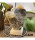 سنگ فلوریت زرد بلور کلکسیونی fluorite