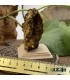 ولفونیت نارنجی کمیاب ترین سنگ کلکسیونی Wulfenite