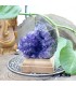 سنگ راف  آمیتیست برزیل کلکسیونی دکوری بنفش Amethyst