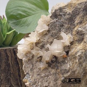 سنگ کریستال سروزیت  راف Cerussite پاکساز قوی انرژی