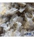 سنگ کریستال سروزیت  راف Cerussite پاکساز قوی انرژی